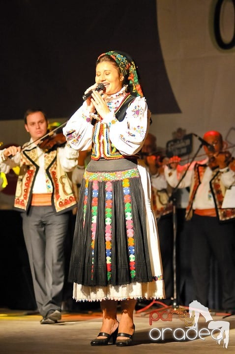 Târgul vinarilor şi pălincarilor - ziua 3,