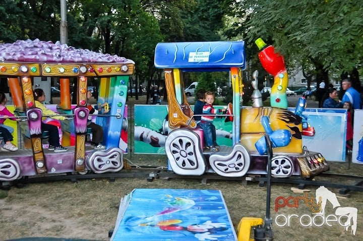 Târgul vinarilor şi pălincarilor - ziua 3,