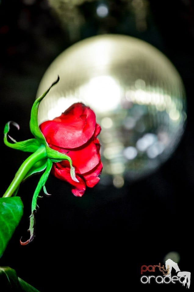 Thursday night party, 