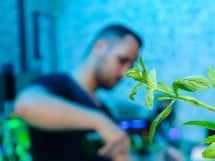 Vineri seara în Icon Caffe