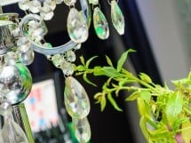 Vineri seara în Icon Caffe