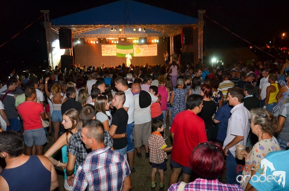 Zilele Comunei Cetariu: concert Takács Nikolas,