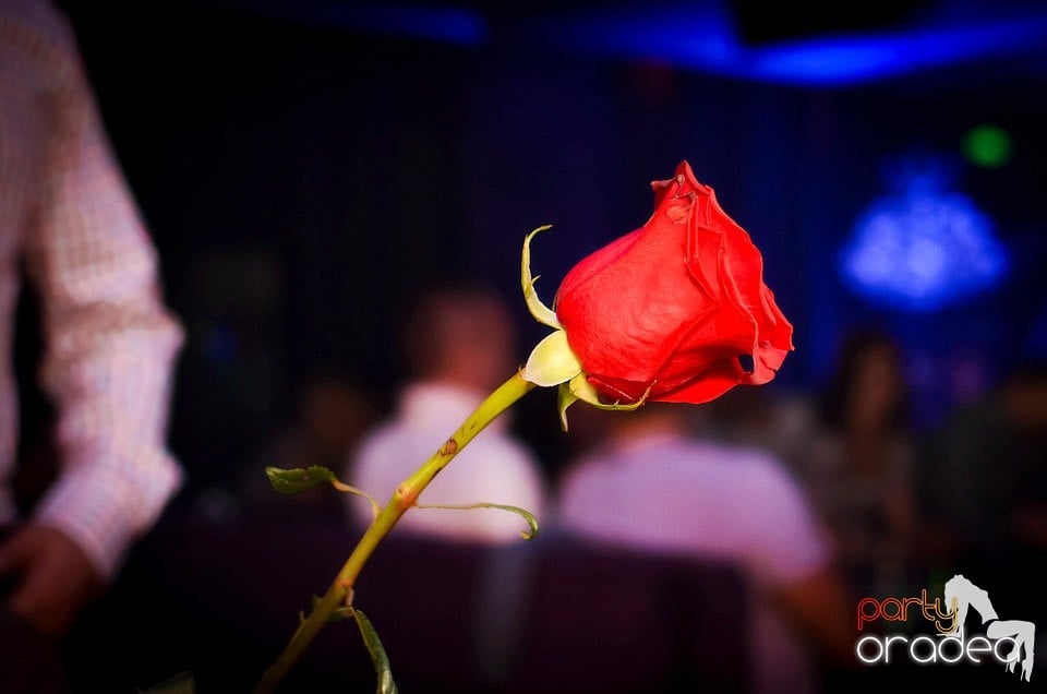 Zu Party for the Zu Nation @ The One, 